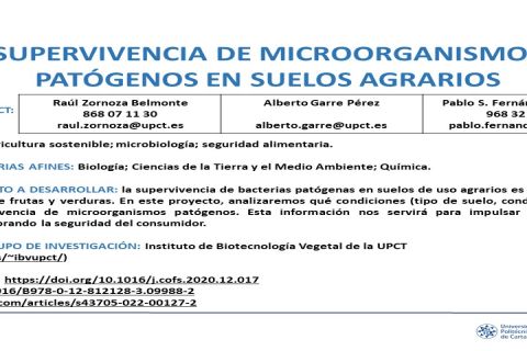 foto Microorganismos patógenos