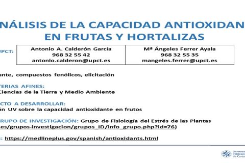 foto Fisiología vegetal