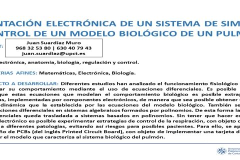 foto Implementacin electrnica