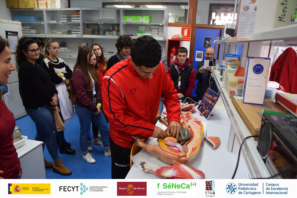 foto: Estudiantes de Bachillerato de quince institutos hacen prácticas agronómicas en las Rutas Biotecnológicas de la UPCT