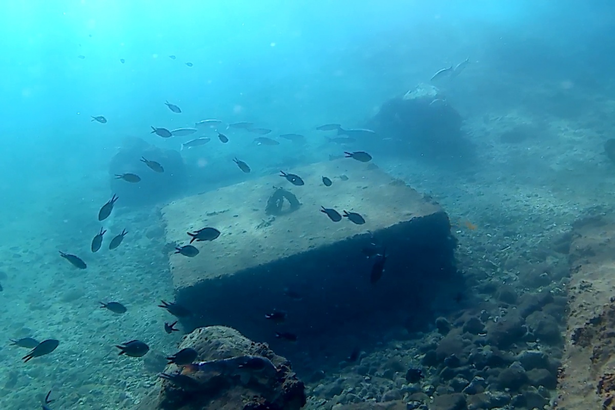 foto: Una boya con cámara submarina emitirá en streaming las imágenes de los fondos del Puerto de Cartagena