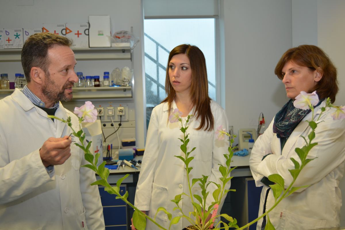 foto: Investigadores de la UPCT se ofrecen a tutorizar proyectos de Bachillerato