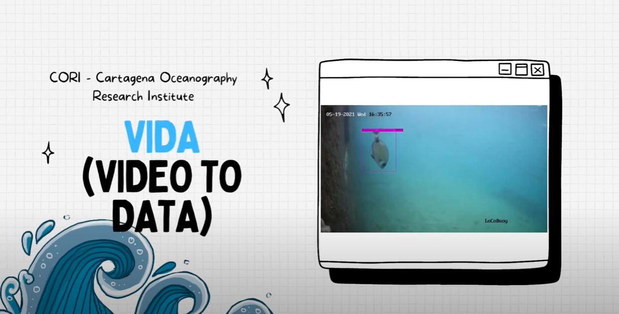 foto: ViDa (Video to Data), nuevo proyecto de la iniciativa Lo-Co Buoy para identificar peces mediante Inteligencia Artificial