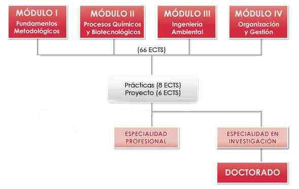 organigrama